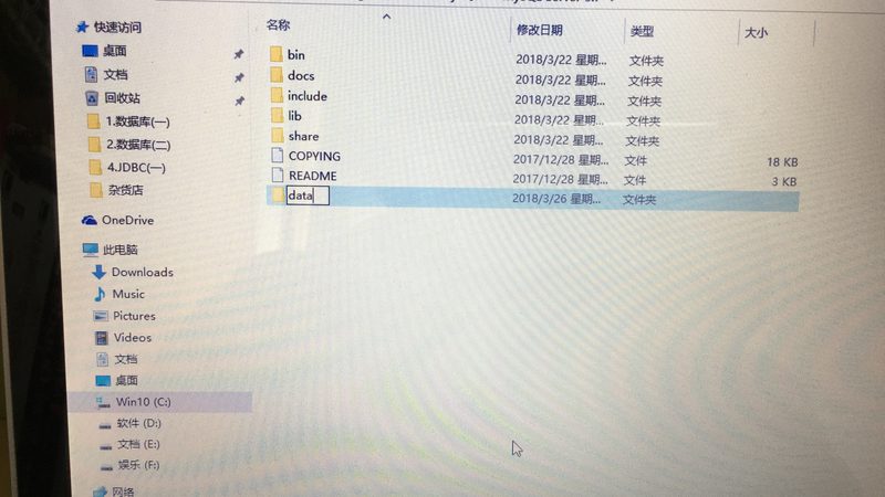 搬家宠物托运，航空箱尺寸选择有讲究